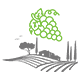 A set of grapes set above the vineyard fields